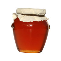 Creta Mel kretischer Honig aus Blüten & Pinien (400g) Orino