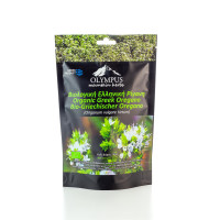 BIO Oregano (Rigani) 40g Olympus